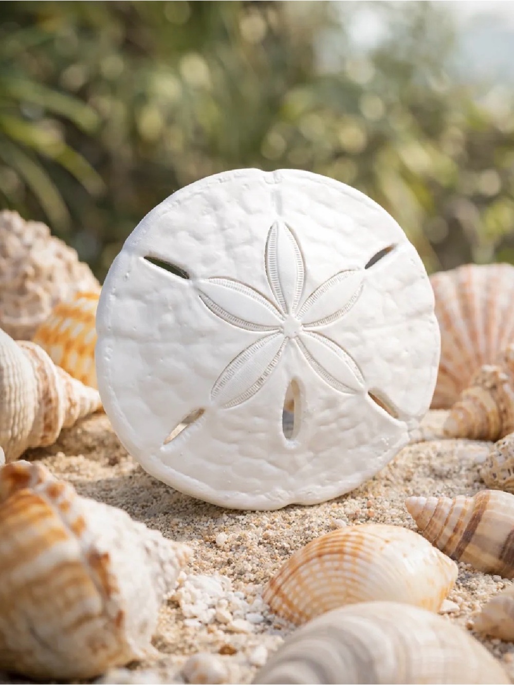 White Ceramic Sand Dollar Decor